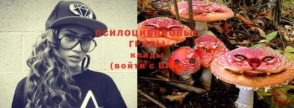 гидропоника Волоколамск
