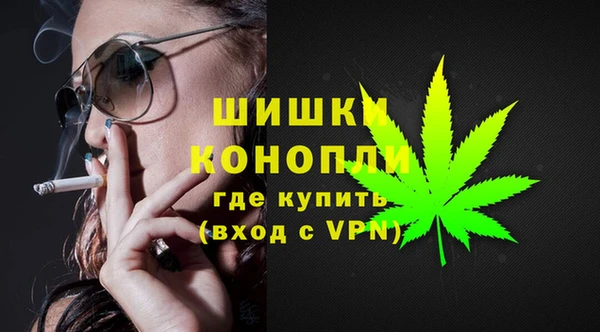 тгк Вяземский