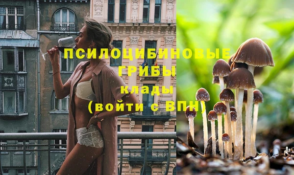 ешки Володарск